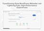 do professional wordpress speed optimization for google pagespeed insights